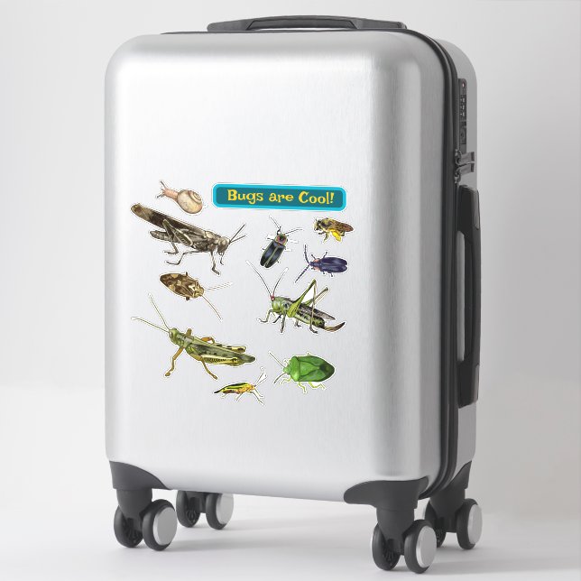 Bugs are Cool! Insects (Suitcase)