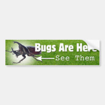 Bugs Are Here... Rhino Beetle Bumper Sticker