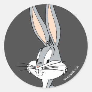 Cartoon Rabbit Stickers | Zazzle CA