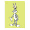 BUGS BUNNY™ Standing 3