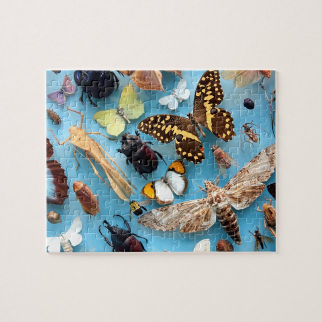 Bugs, Butterflies and Moths Jigsaw Puzzle (Horizontal)