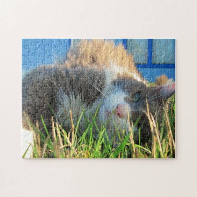 Bug's eye view by djoneill jigsaw puzzle (Horizontal)