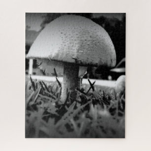 Bug's Eye View Jigsaw Puzzle