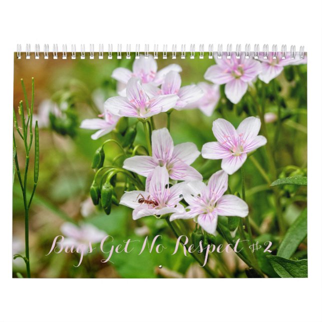 Bugs Get No Respect #2 Calendar (Cover)