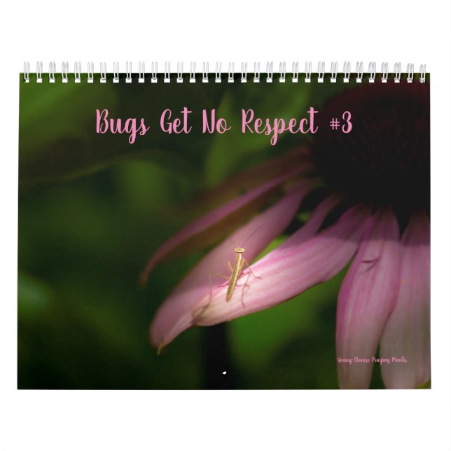 Bugs Get No Respect Calendar #3 (Cover)