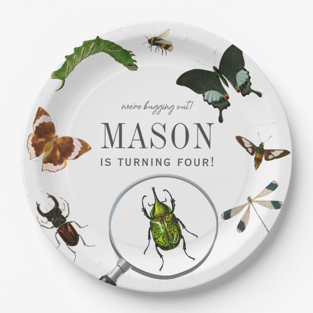 Bugs & Insects Vintage Boy Birthday Paper Plate (Front)