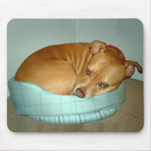 Bugsy Mouse Pad