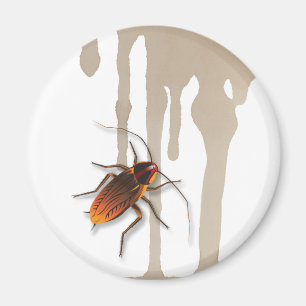 Bugzeez_Icky Sticky Roaches gouttant aimant frigo