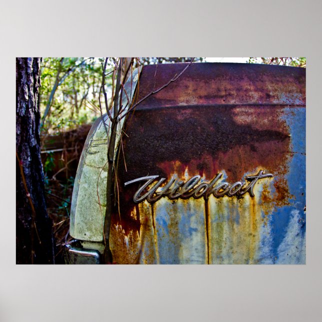 Buick Wildcat Poster (Front)