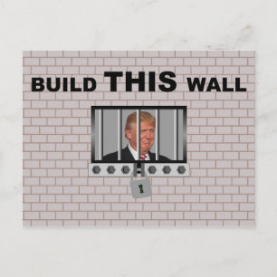 Build THIS wall / Anti Trump, Postcard