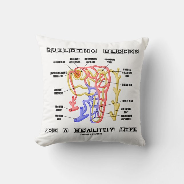 Building Blocks For A Healthy Life Kidney Nephron Throw Pillow (Front)