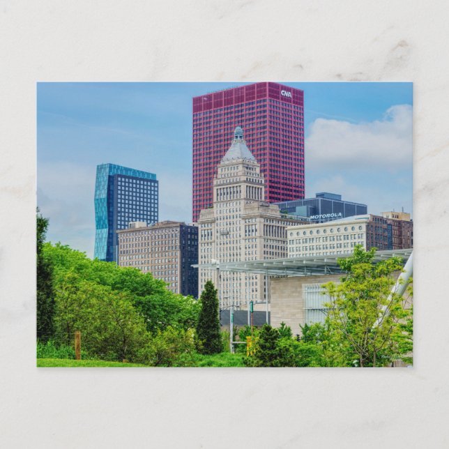 Buildings In Chicago Postcard (Front)