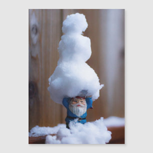 Built a Snowman V