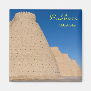 Bukhara, Uzbekistan -  Wall of the Ark fortress Magnet