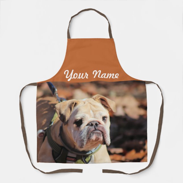 Bukkdig Apron (Front)