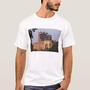 Buland Darwaza Gate of Victory) to the Dargah T-Shirt