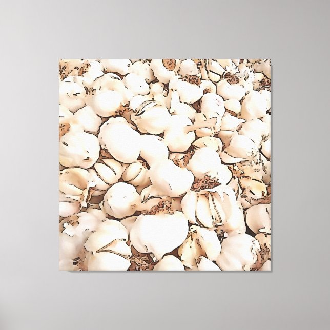 Bulbs Of Garlic Acrylic Art Canvas Print (Front)