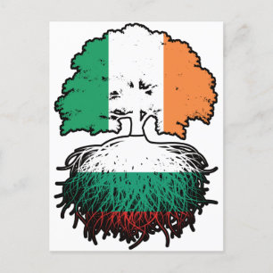 Bulgaria Bulgarian Irish Ireland Tree Roots Flag Postcard