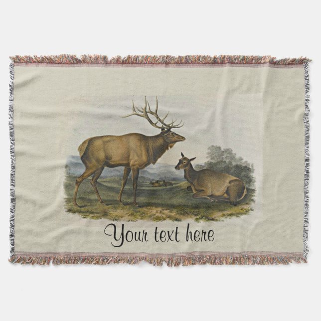Bull and Cow Elk by John James Audubon Throw Blanket (Front)