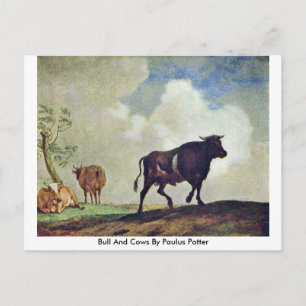 Bull And Cows By Paulus Potter Postcard