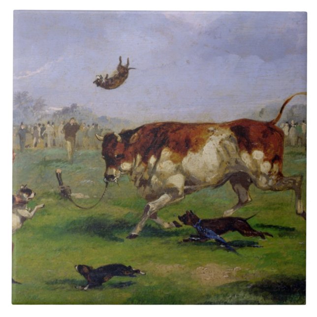Bull Baiting (oil on paper laid on panel) Tile (Front)