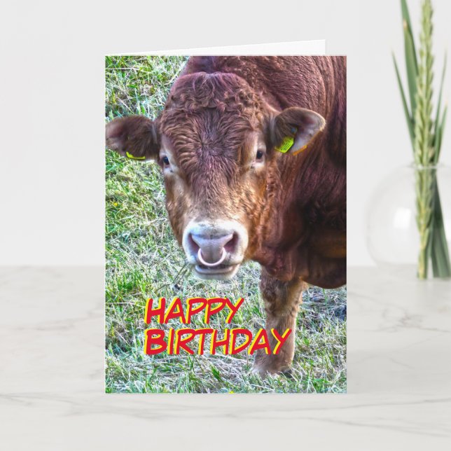 Bull Birthday Card (Front)
