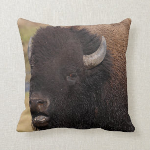 bull bison talking throw pillow
