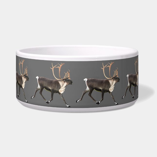 Bull Caribou (Right)