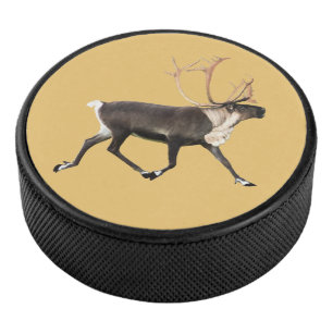 Bull Caribou