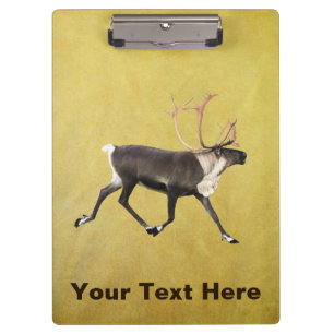 Bull Caribou Clipboard