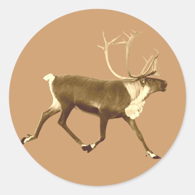 Bull Caribou - Sepia Classic Round Sticker (Front)