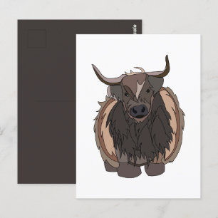 Bull Cattle Bull Postcard