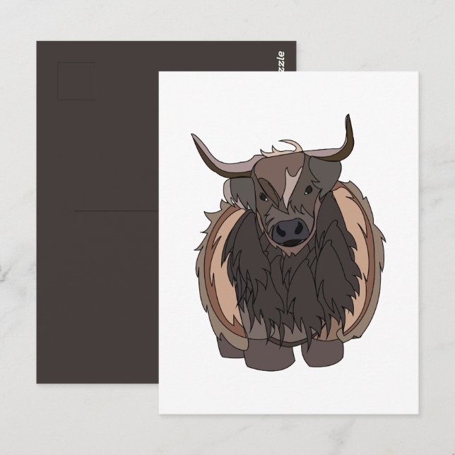 Bull Cattle Bull Postcard (Front/Back)