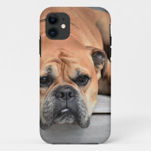 Bull Dog iPhone 11 Case