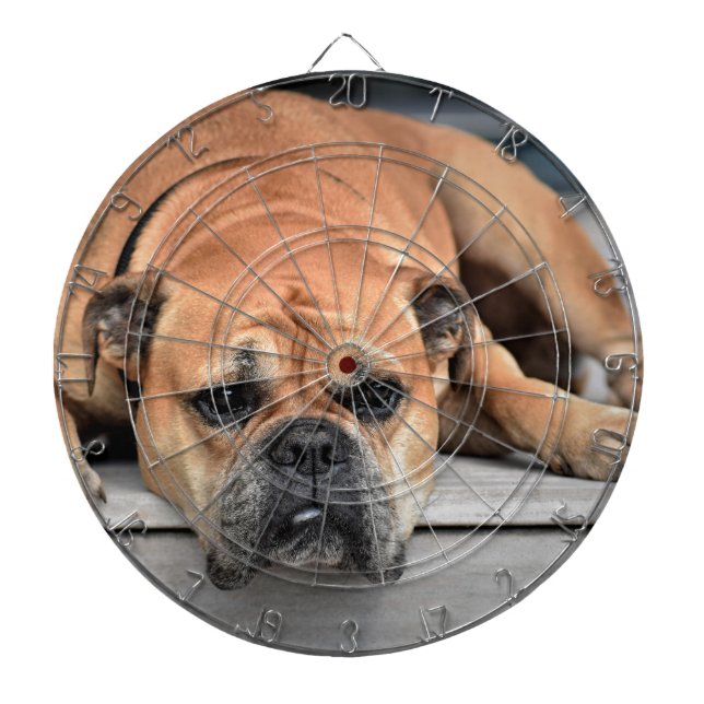 Bull Dog Dartboard (Front)
