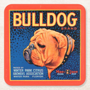Bull Dog on a Blue Background Square Paper Coaster
