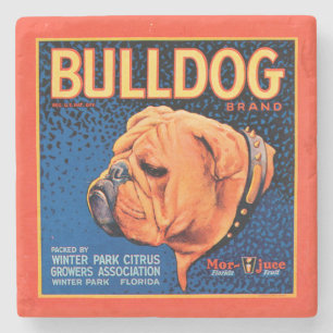 Bull Dog on a Blue Background Stone Coaster