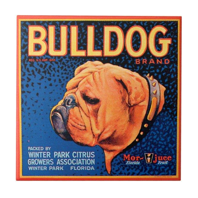 Bull Dog on a Blue Background Tile (Front)