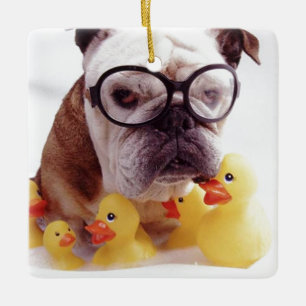**BULL DOG WITH RUBBER DUCKS** CHRISMAS ORNAMENT