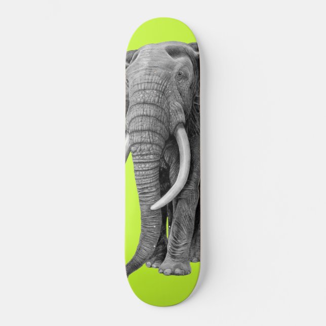 Bull elephant - Drawing in pencil Skateboard (Front)