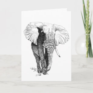 Bull Elephant étude Carte d'anniversaire