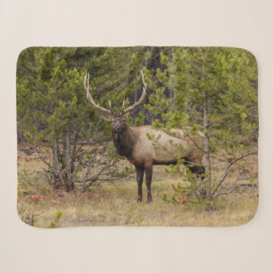 Bull Elk At Yellowstone National Park Sherpa Blanket