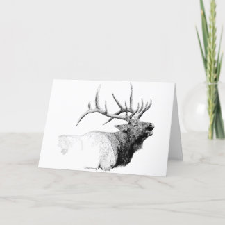 Bull Elk Card