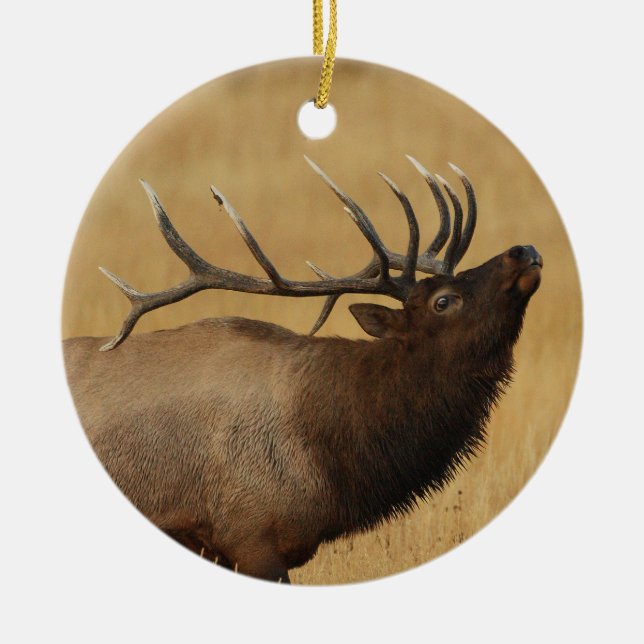 bull elk ceramic ornament (Front)