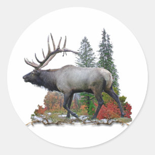 Bull Elk Classic Round Sticker
