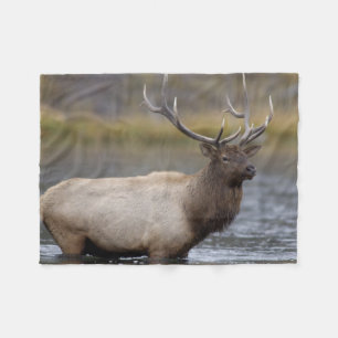 Bull Elk Crossing Yellowstone National Park Fleece Blanket