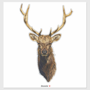 Bull Elk Head animal nature wildlife art   