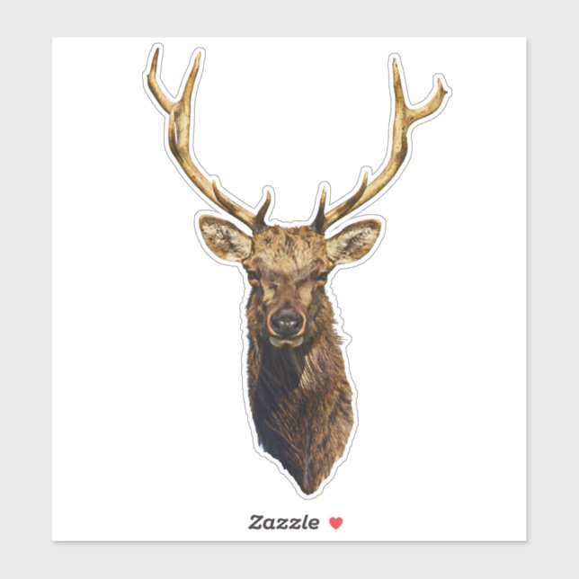 Bull Elk Head animal nature wildlife art    (Sheet)