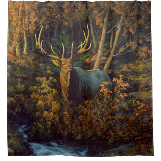 Bull Elk in Autumn Forest (Front)