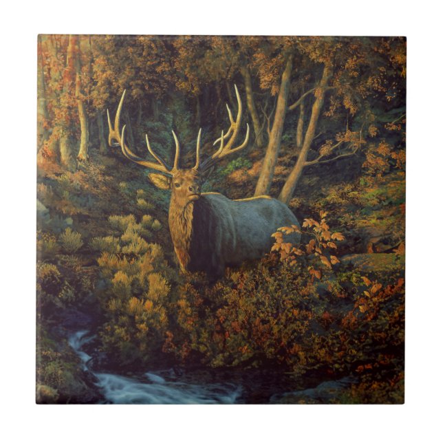 Bull Elk in Autumn Forest Tile (Front)